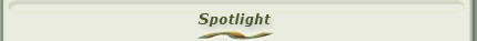 Spotlight